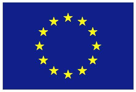 europeanflag.jpg