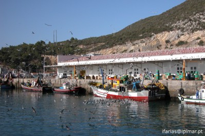 ipimar_sesimbra2c.jpg